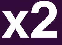 x2 Bundle Icon